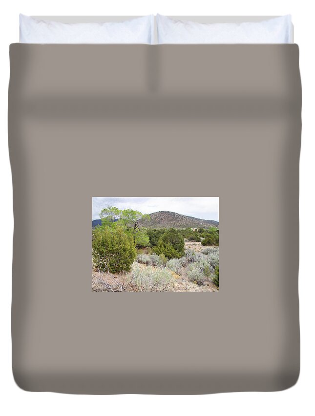 Landscape Duvet Cover featuring the photograph April New Mexico Desert by Kathleen Grace