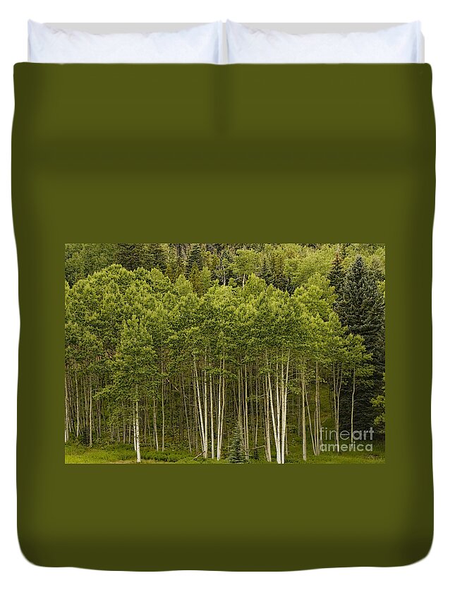 Green Duvet Cover featuring the photograph Aspen Grove by Peggy Starks