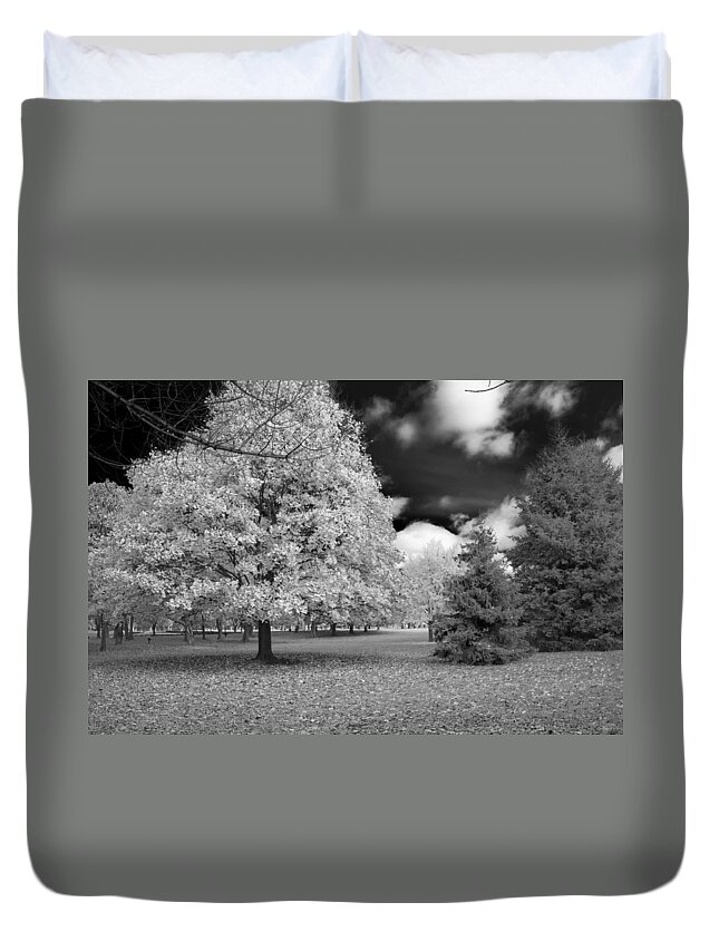 Forest Duvet Cover featuring the photograph Autumn in Niagara by Guy Whiteley
