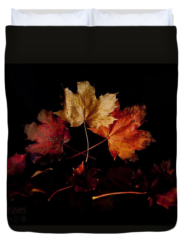Autumn Duvet Cover featuring the photograph Autumn Leaves by B Cash