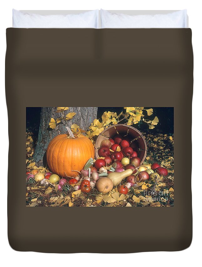 Autumn Duvet Cover featuring the photograph Autumn Still Life by Photo Researchers, Inc.