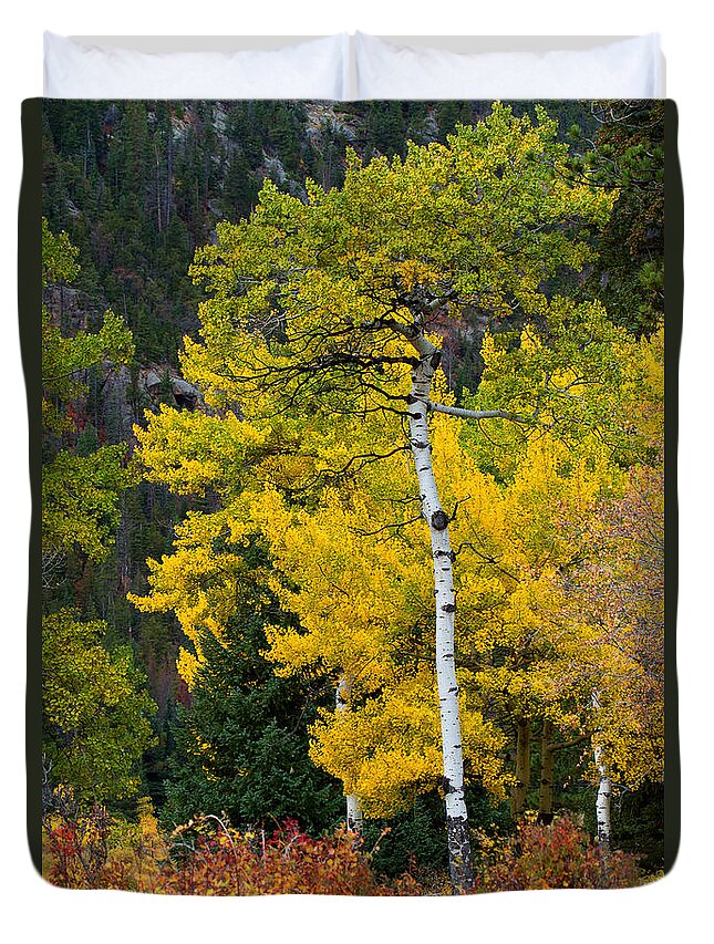 Autumn Colors Duvet Cover featuring the photograph Autumn Wonder by Jim Garrison