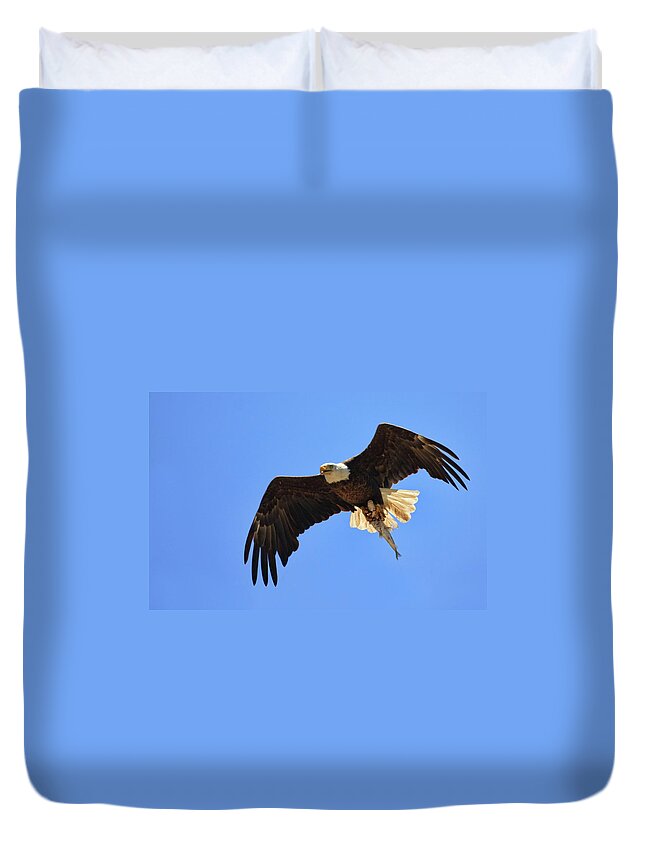 Bald Eagle Duvet Cover featuring the photograph Bald Eagle Catch by Beth Sargent