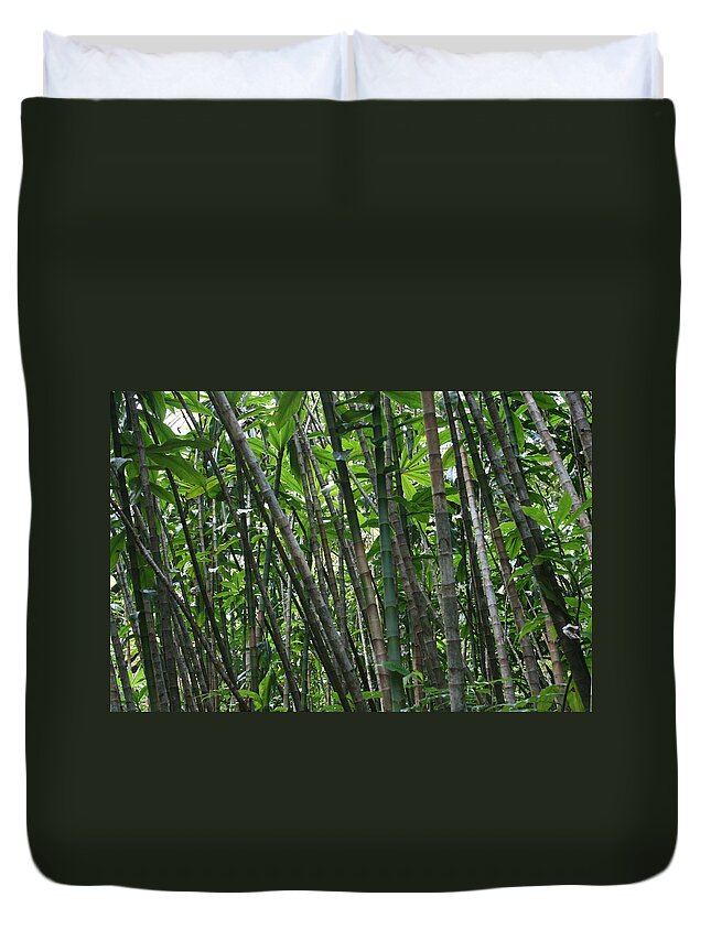 Jennifer Bright Art Duvet Cover featuring the photograph Bamboo 2 by Jennifer Bright Burr