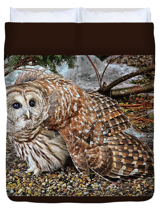 Barred Owl Duvet Cover featuring the photograph Barred Owl Warning by Peg Runyan