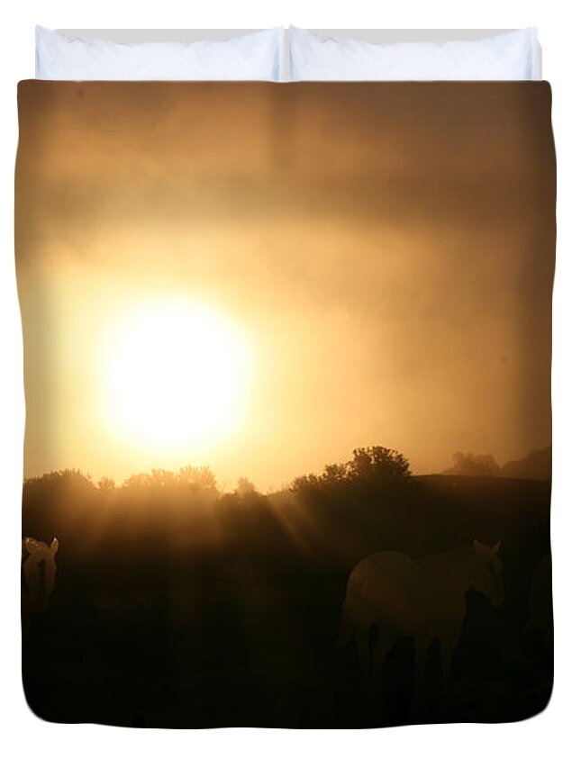 Horses Paint Duvet Cover featuring the digital art Basking Horses by Andrea Lawrence