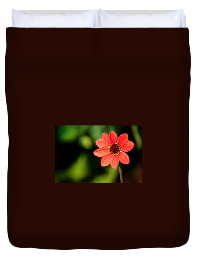 Flora Duvet Cover featuring the photograph Be Happy to be Individual by Lynne Jenkins