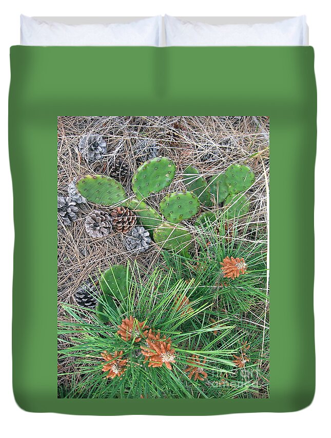  Beach Cactus Duvet Cover featuring the photograph Beach Cactus in the Pines by Nancy Patterson
