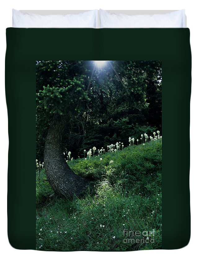 Bear-grass Duvet Cover featuring the photograph Bear-grass Ridge II by Sharon Elliott