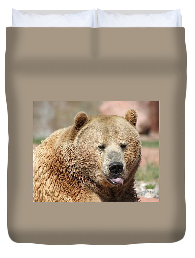 Bear Duvet Cover featuring the photograph Bear Rasberry by Living Color Photography Lorraine Lynch