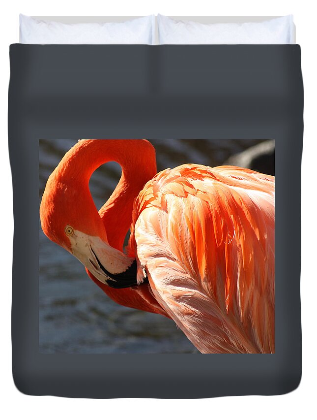 Flamingo Duvet Cover featuring the photograph Beautiful Bird by Kim Galluzzo