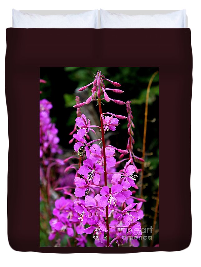 Fireweed Duvet Cover featuring the photograph Bee on Fireweed in Alaska by Kathy White
