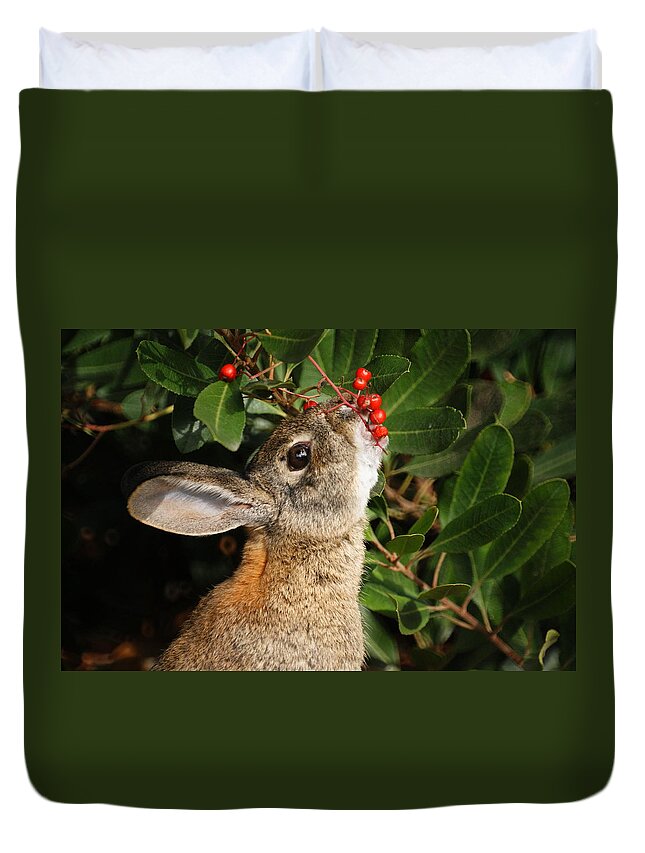 Rabbit Duvet Cover featuring the photograph Berry Bunny by Ernest Echols