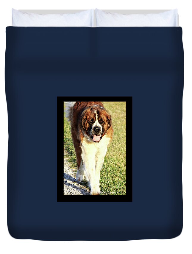  Duvet Cover featuring the photograph 'Betty Lou of Crescent Farm' by PJQandFriends Photography