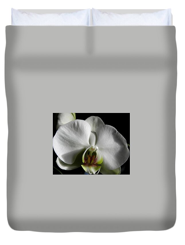 White Duvet Cover featuring the photograph Bianco Orchid by Kim Galluzzo