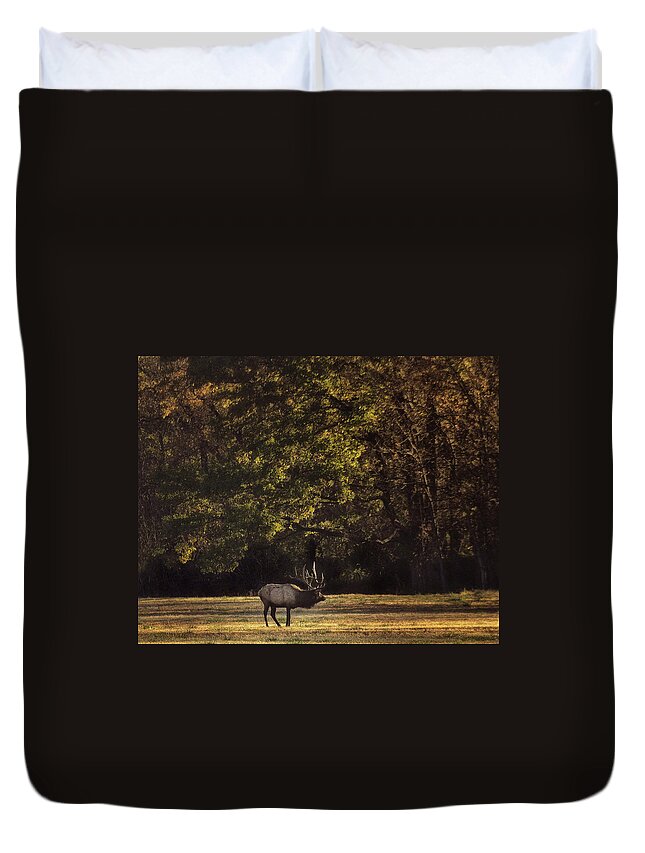 Big Bull Elk Duvet Cover featuring the photograph Big Bull Elk at Sunrise by Michael Dougherty