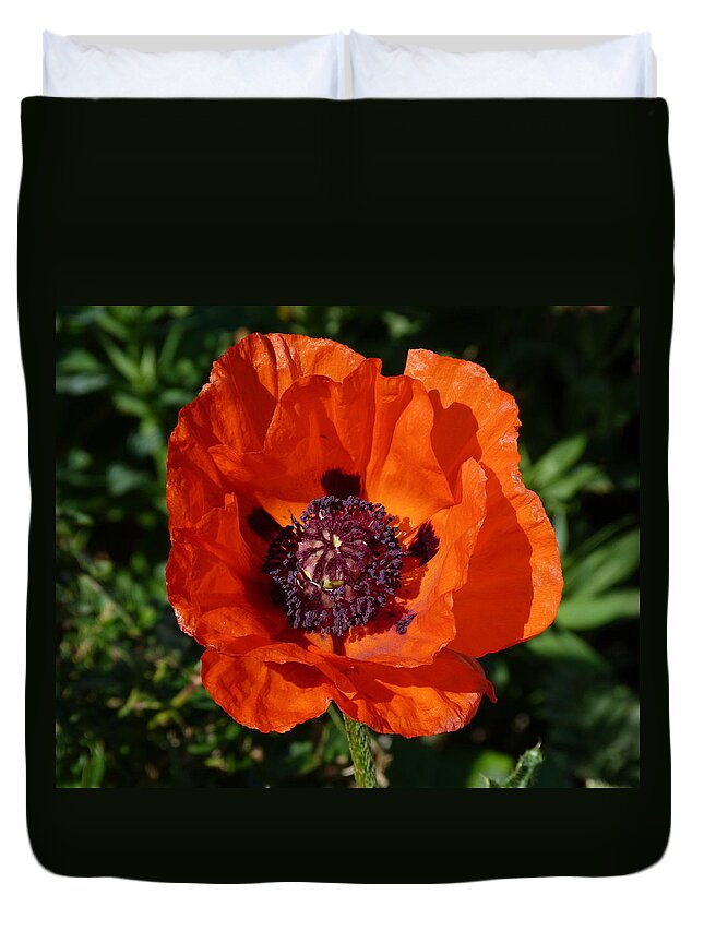 Poppy Duvet Cover featuring the photograph Big Red Poppy by Lynn Bolt