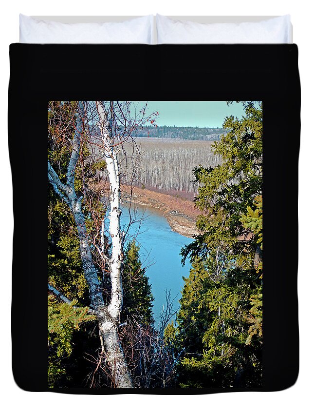 White Birch Duvet Cover featuring the photograph Birch Forest by S Paul Sahm