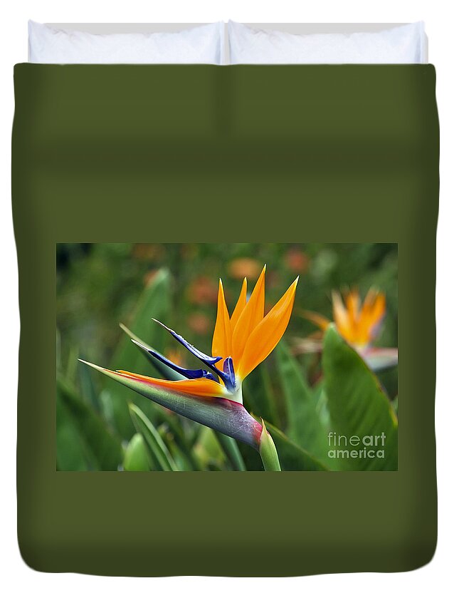 Flower Duvet Cover featuring the photograph Bird of Paradise by Teresa Zieba