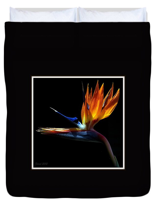 Bird Duvet Cover featuring the photograph Bird of Paradise Two Days Later by Farol Tomson