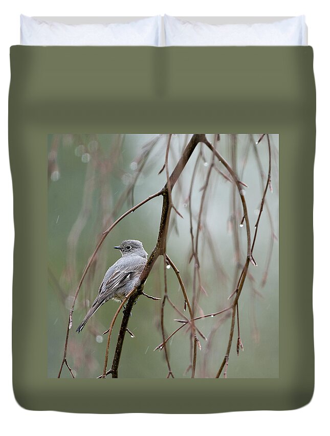 Canada Duvet Cover featuring the photograph Birds of BC - No. 23 - Townsends Solitaire - Myadestes townsendi by Paul W Sharpe Aka Wizard of Wonders