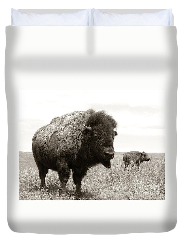 America Duvet Cover featuring the photograph Bison and Calf by Olivier Le Queinec