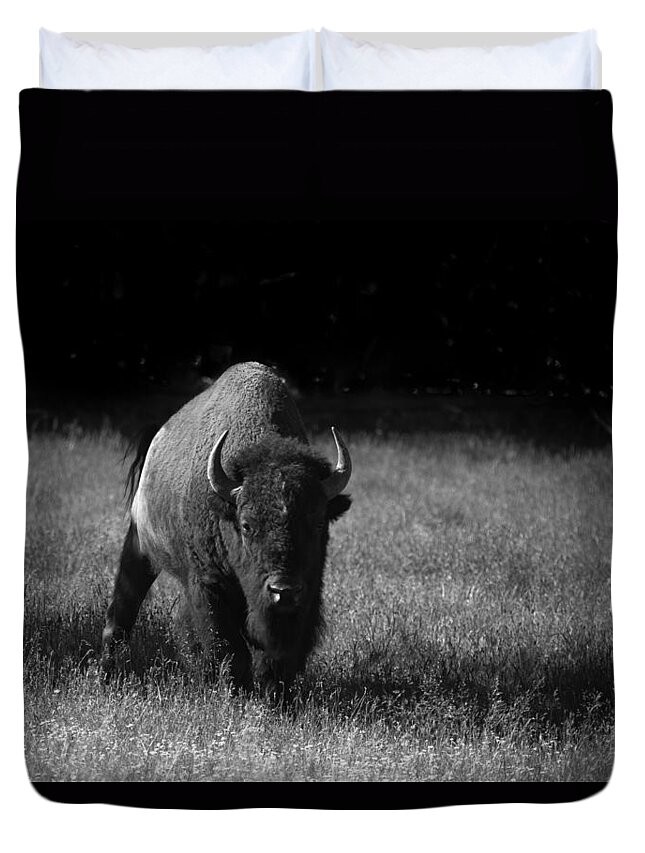 Mammal Duvet Cover featuring the photograph Bison by Ralf Kaiser