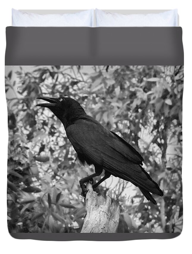 Raven Duvet Cover featuring the photograph Black as the Night by Douglas Barnard