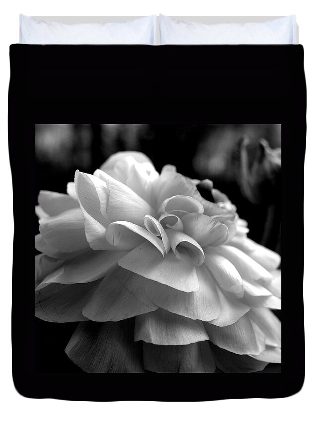 Ranunculus Duvet Cover featuring the photograph Black N White Beauty by Kim Galluzzo Wozniak