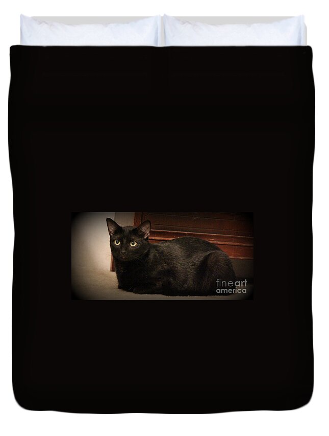 Black Cats Duvet Cover featuring the photograph Black Satin by Kathy White