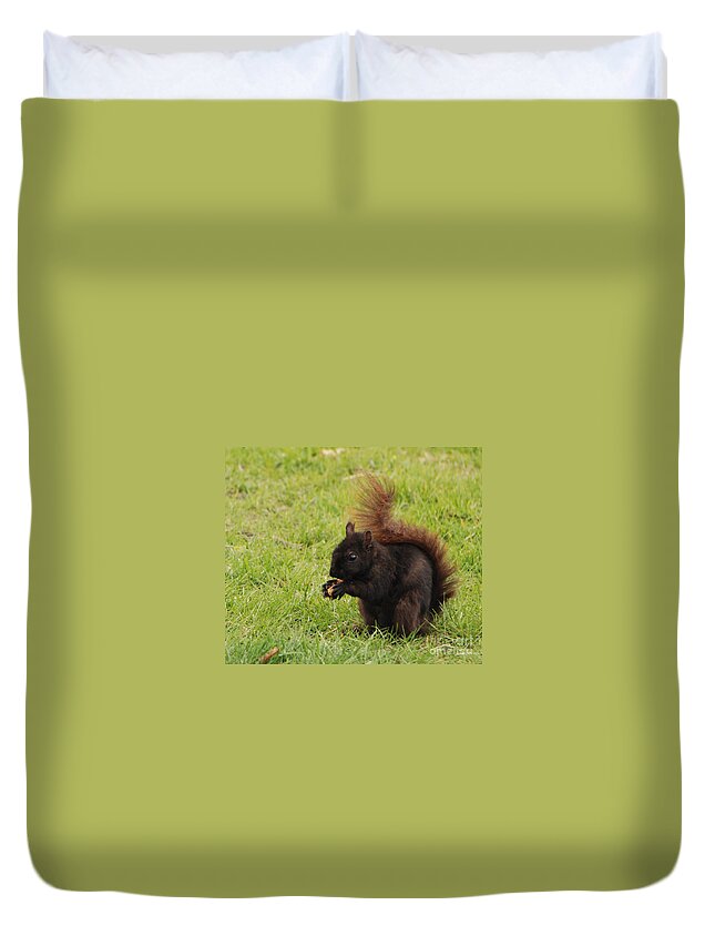 Black Duvet Cover featuring the photograph Black Squirel Dines by Grace Grogan
