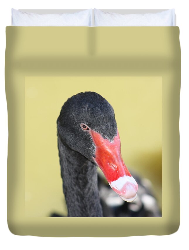 Black Duvet Cover featuring the photograph Black Swan by Kim Galluzzo Wozniak