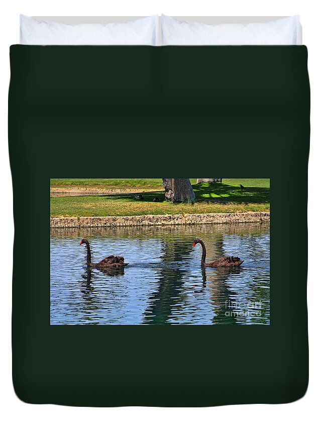 Black Swan Duvet Cover featuring the photograph Black Swan's in Palm Springs by Tommy Anderson