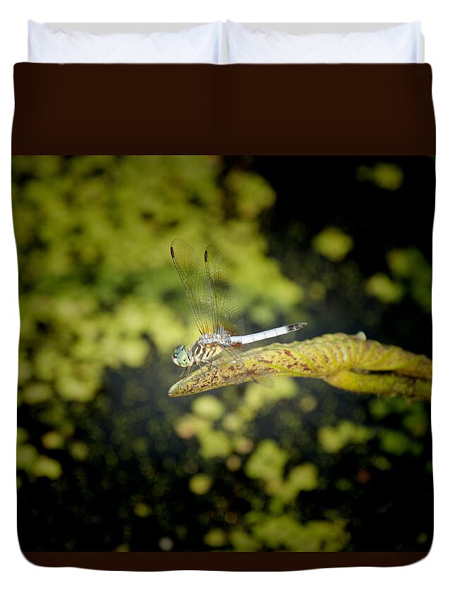 Dragonfly Duvet Cover featuring the photograph Blending In by Douglas Barnard