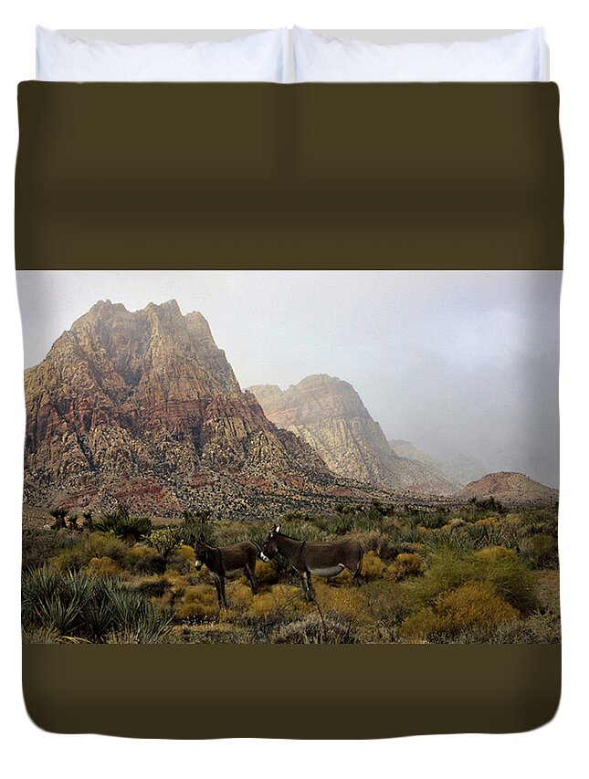 Burro's Duvet Cover featuring the photograph Blending in by Tammy Espino