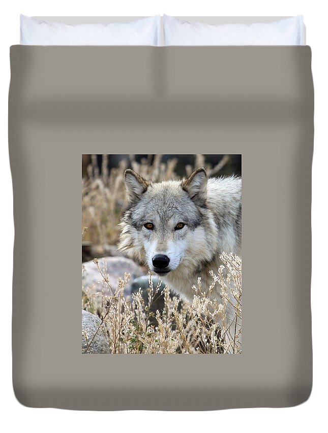 Wolf Duvet Cover featuring the photograph Blending Wolf by Steve McKinzie