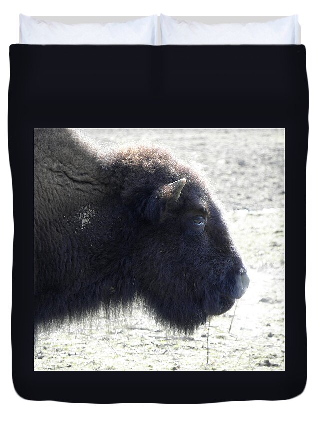 Buffalo Duvet Cover featuring the photograph Blowing Some Steam Off by Kim Galluzzo