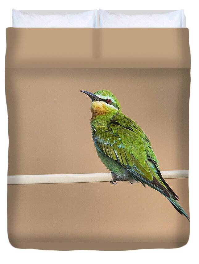 00481394 Duvet Cover featuring the photograph Blue Cheeked Bee Eater Hawf Protected by Sebastian Kennerknecht