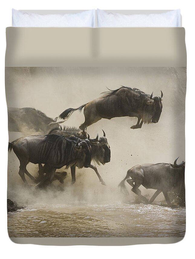 00761256 Duvet Cover featuring the photograph Blue Wildebeest Crossing Mara River by Suzi Eszterhas