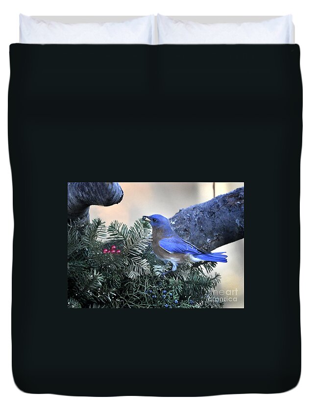 Nature Duvet Cover featuring the photograph Bluebird Christmas Wreath #3 by Nava Thompson