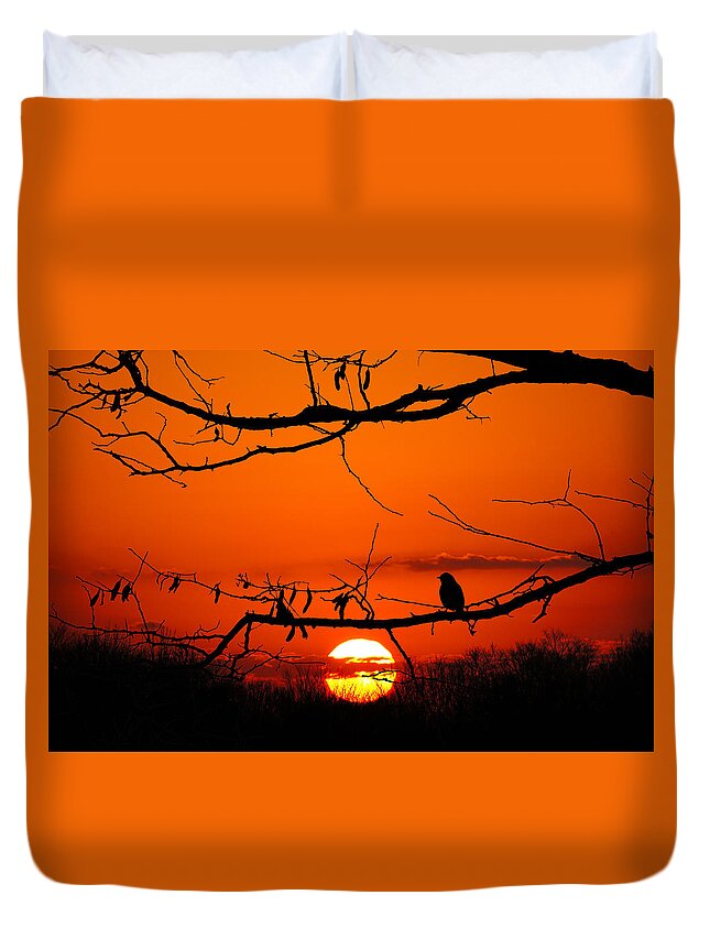 Wisconsin Duvet Cover featuring the photograph Bluebird Dawn by Bill Pevlor