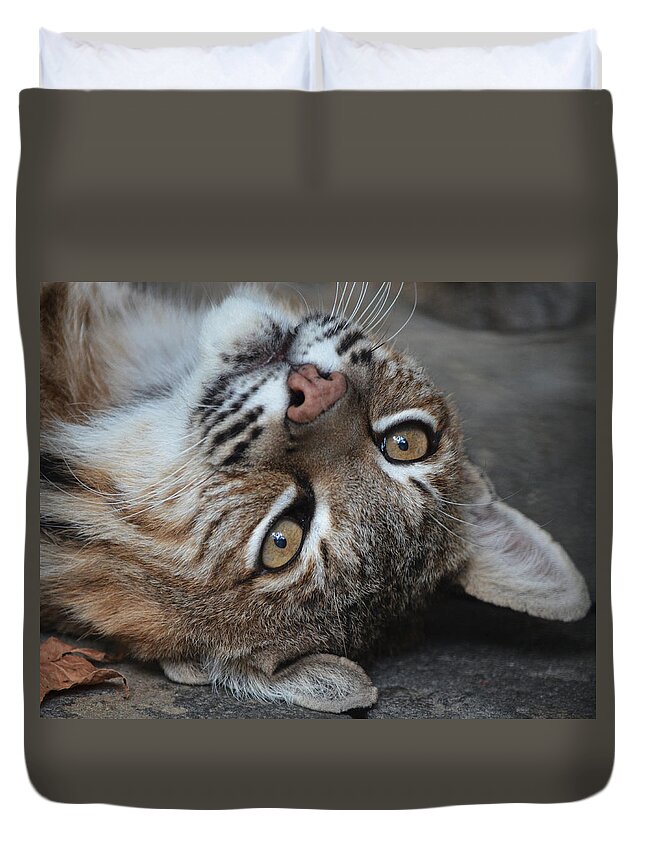 Wild Animal Duvet Cover featuring the photograph Bobcat Smile by Maggy Marsh