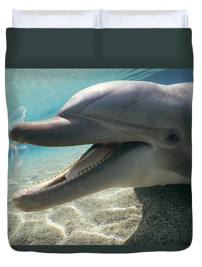 00086165 Duvet Cover featuring the photograph Bottlenose Dolphin Playing With Plastic by Flip Nicklin