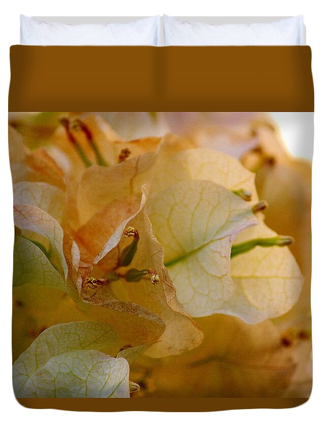 White Bougainvillea Duvet Cover featuring the photograph Bougainvillea Memory by Leigh Meredith