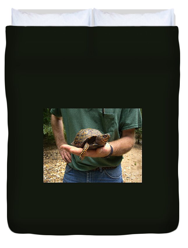 Box Turtle Duvet Cover featuring the photograph Box Turtle by William Kuta