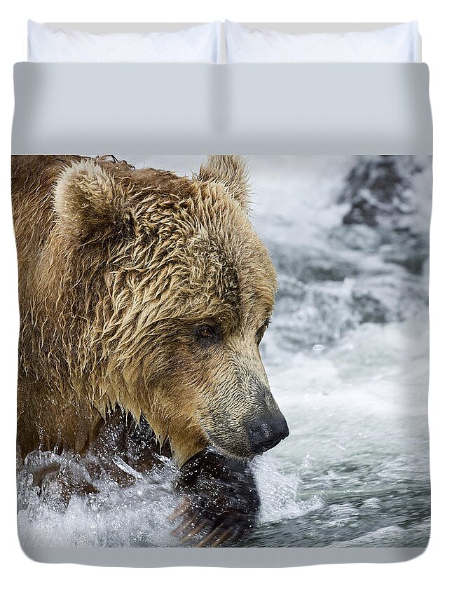 Mp Duvet Cover featuring the photograph Brown Bear Fishing for Salmon by Sergey Gorshkov