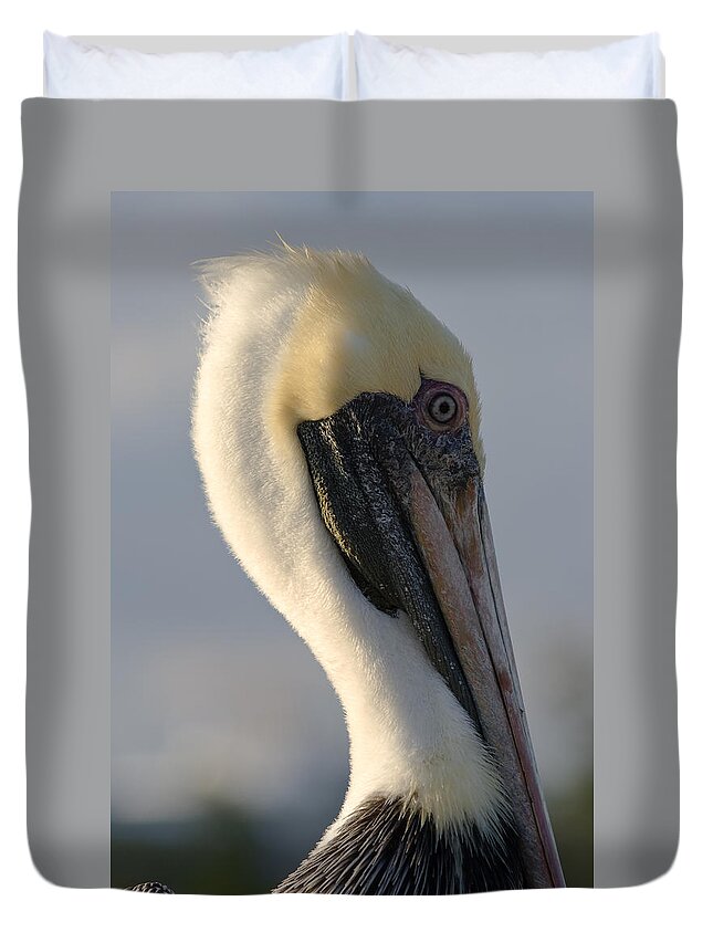 Bird Duvet Cover featuring the photograph Brown Pelican Profile by Ed Gleichman