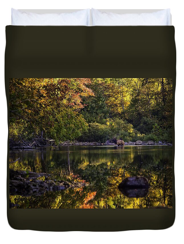 Bull Elk Duvet Cover featuring the photograph Bull Elk in Buffalo National River in Fall Color by Michael Dougherty