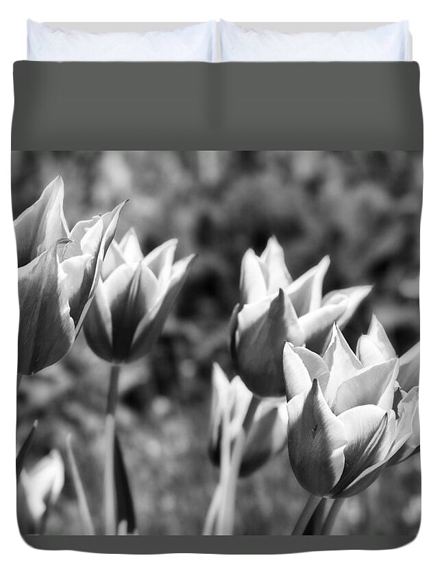 Botanical Duvet Cover featuring the photograph Burgundy Yellow Tulips in Black and White by James BO Insogna