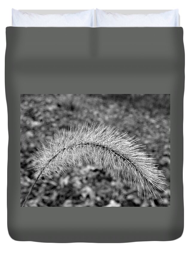 Fuzzy Duvet Cover featuring the photograph Burst In The Woods by Kim Galluzzo Wozniak